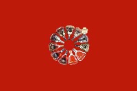 周口市沈丘回收红酒